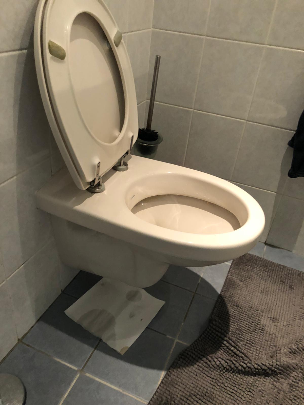 hangtoilet Monster